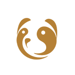 熊猫金控股份有限公司  股票代码 600599